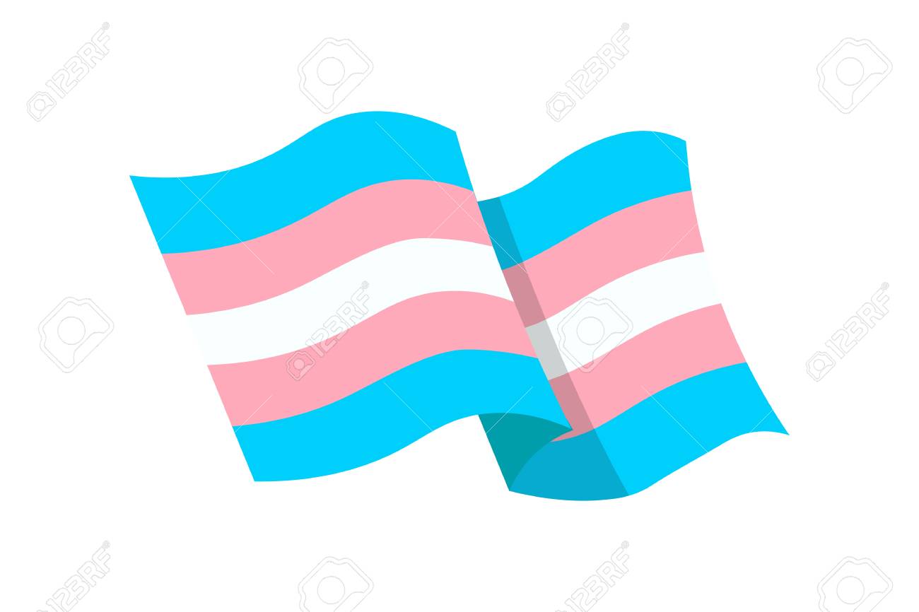 Vector Illustration Of The Transgender Flag On Whte Background Royalty Free Cliparts Vectors And Stock Illustration Image Vector Illustration Of The Transgender Flag On Whte Background Royalty Free Cliparts Vectors And Stock Illustration Image
