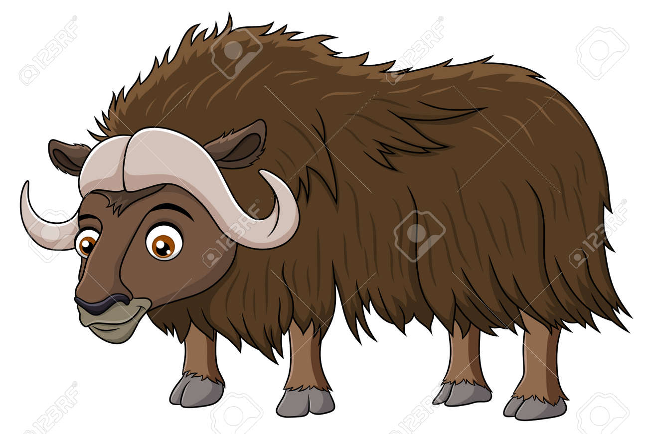Cute Muskox Cartoon Vector Illustration Royalty Free SVG, Cliparts,  Vectors, and Stock Illustration. Image 174344246., image size:1300x871