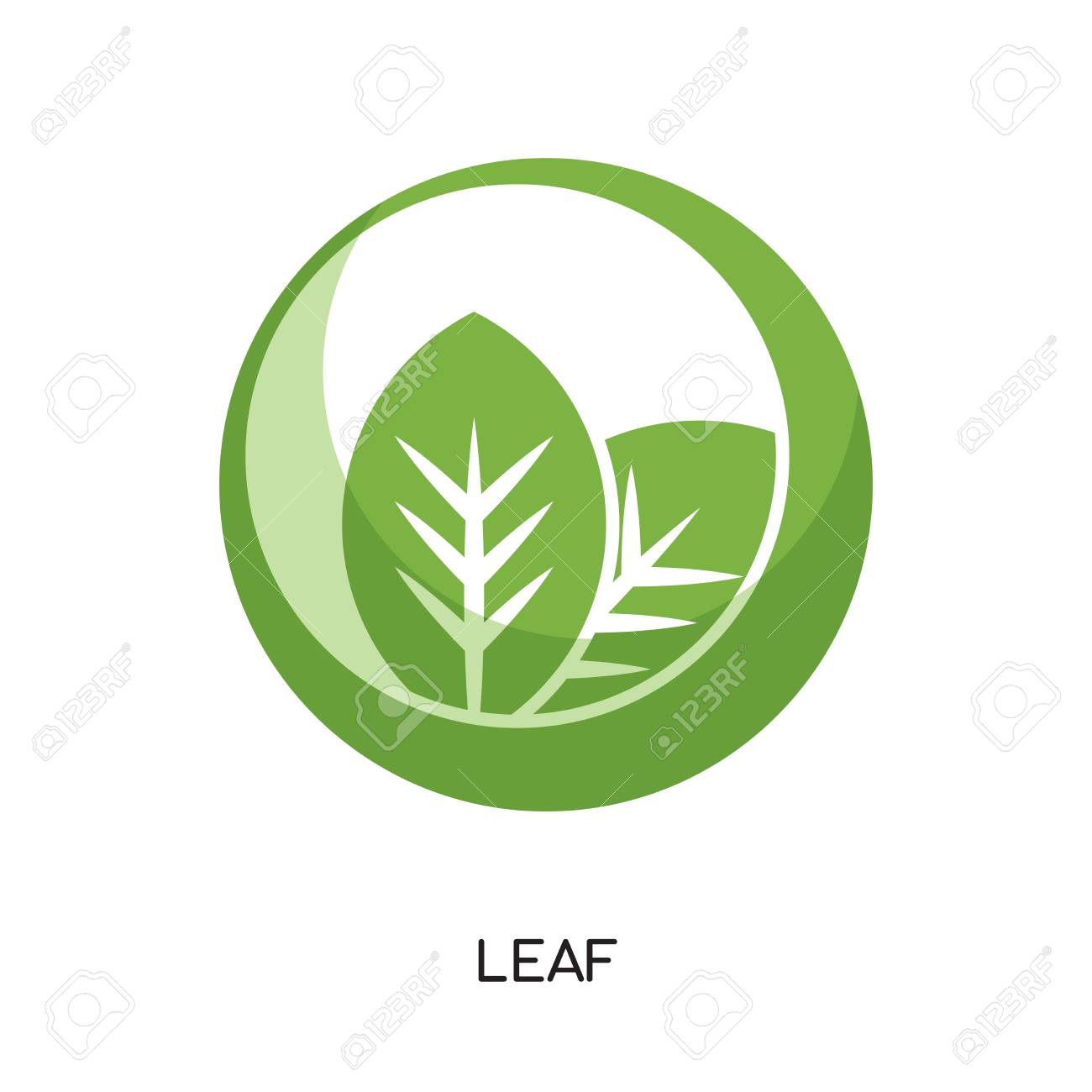 Leaf Logo Png Isolated On White Background For Your Web And Mobile Royalty Free Cliparts Vectors And Stock Illustration Image 101157481