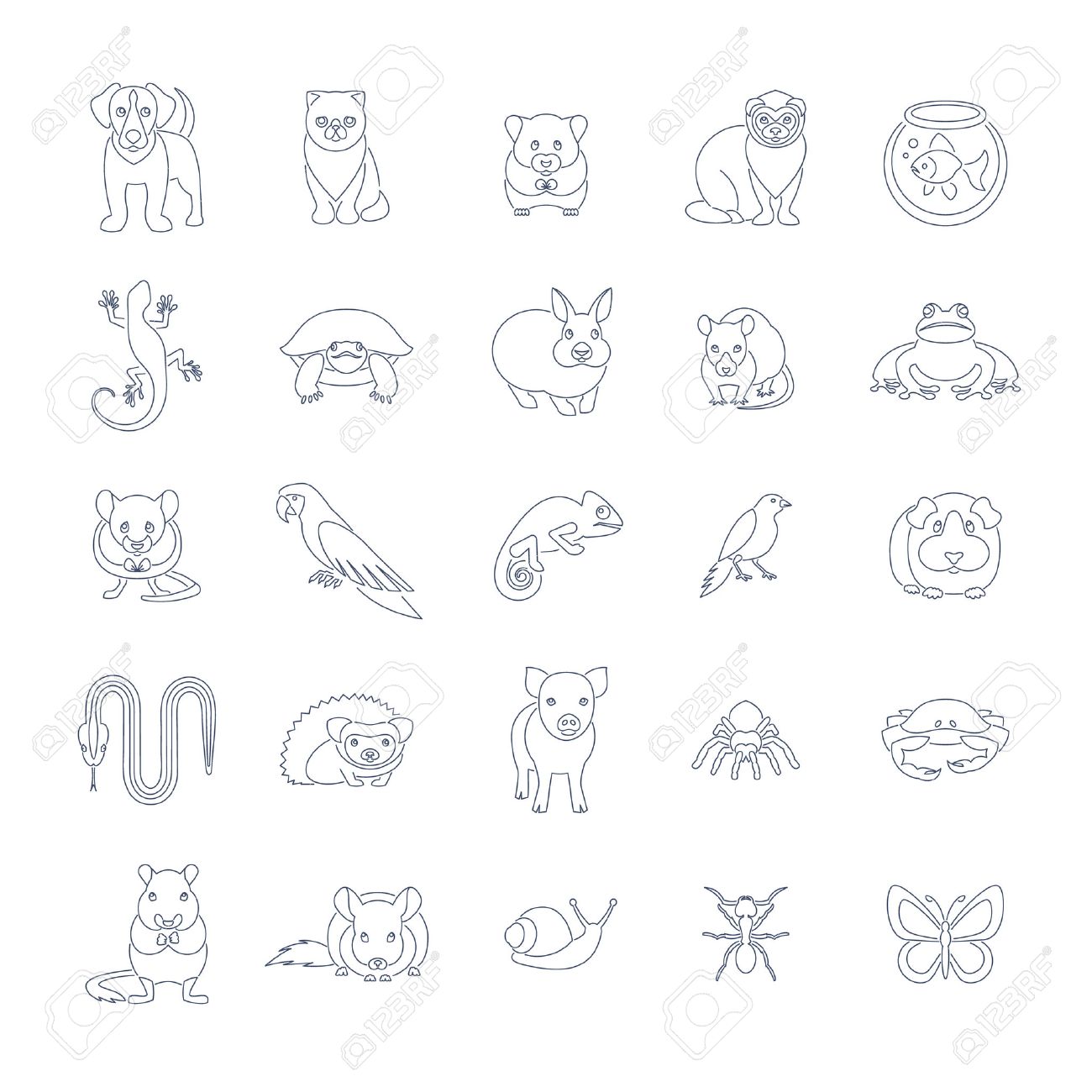 動物ペット ベクトル フラット細い線のアイコンを設定します いろいろな家畜のピクトグラムを概説します 哺乳類 齧歯動物 両生類 昆虫 鳥 爬虫類 人々 は自宅の世話 のイラスト素材 ベクタ Image