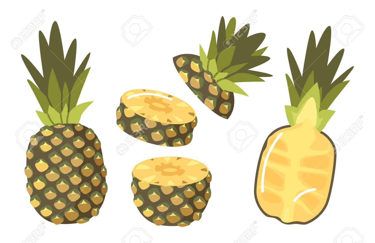 Set of Pineapples, Tropical Plant Whole, Half and Sliced Natural Exotic Fruit with Juicy Pulp. Healthy Organic Product - 171857241 Set of Pineapples, Tropical Plant Whole, Half and Sliced Natural Exotic Fruit with Juicy Pulp. Healthy Organic Product - 171857241
