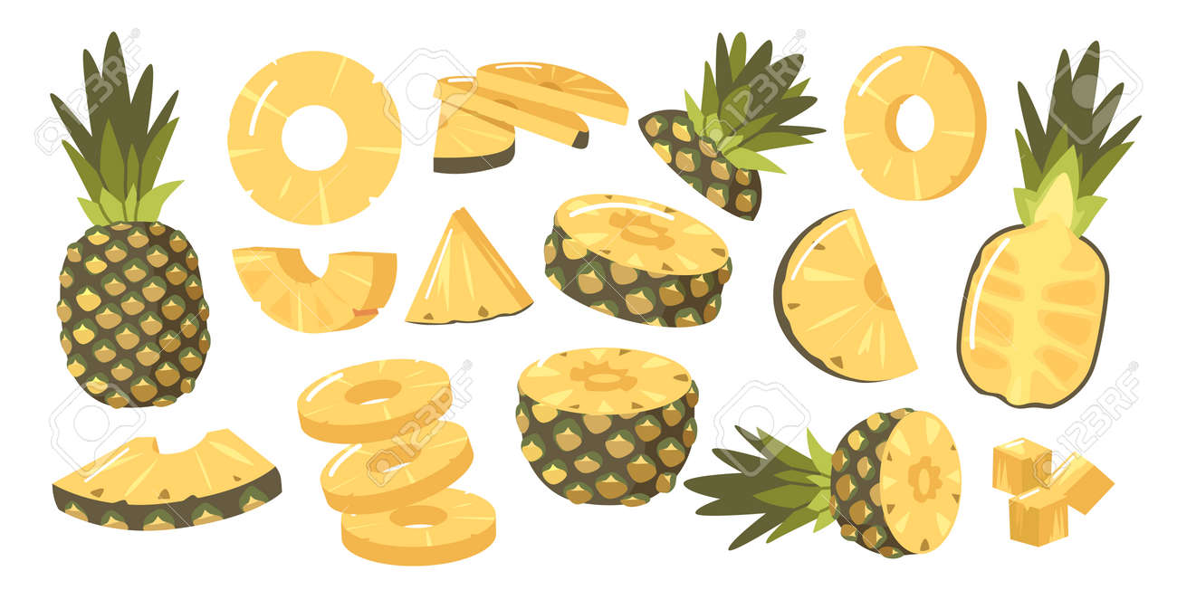 Set of Pineapples, Ripe Healthy Organic Product Design Elements, Fresh Tropical Plant. Whole, Half and Sliced Fruits - 171857177 Set of Pineapples, Ripe Healthy Organic Product Design Elements, Fresh Tropical Plant. Whole, Half and Sliced Fruits - 171857177