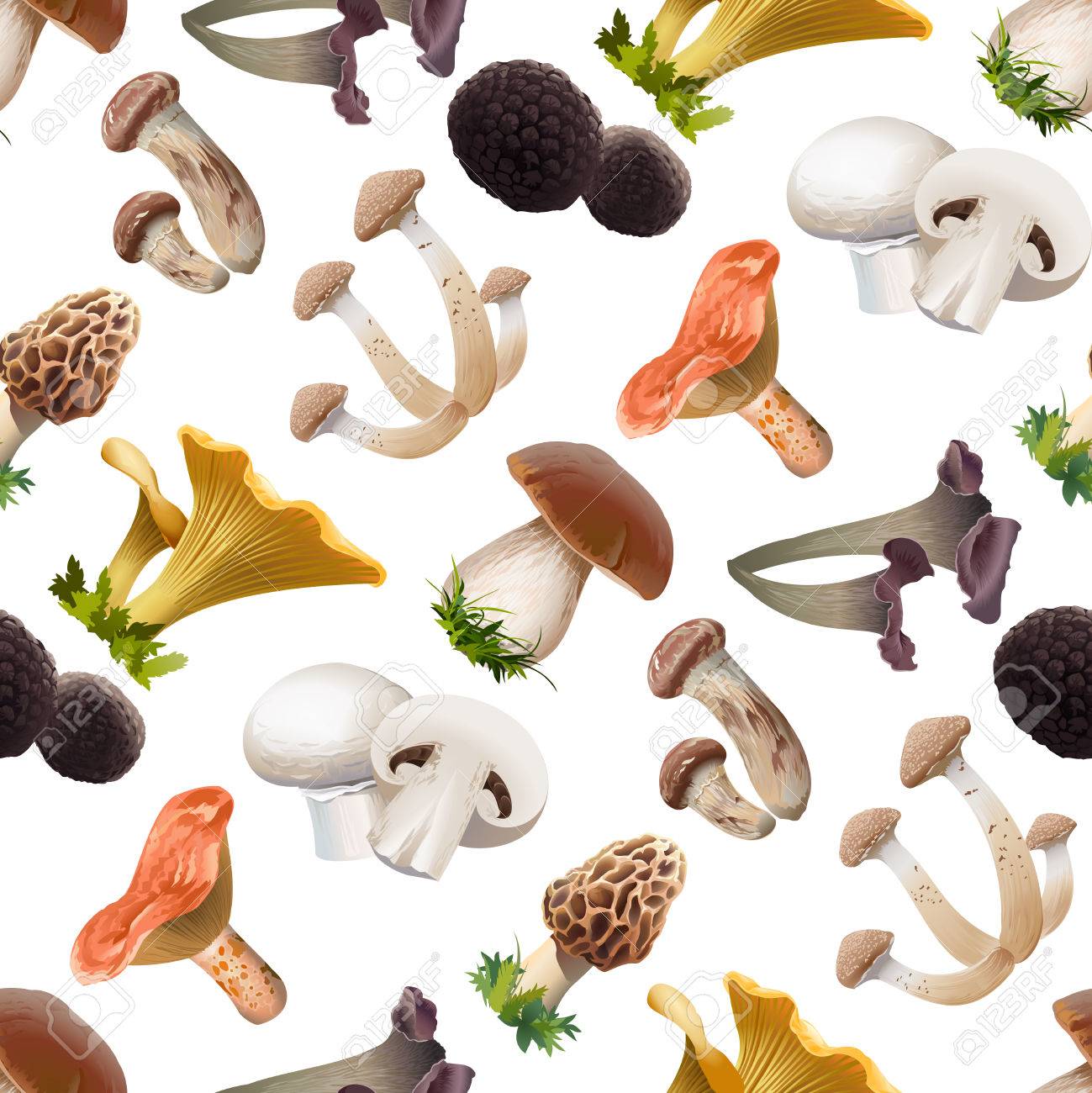 Tipos de hongos comestibles