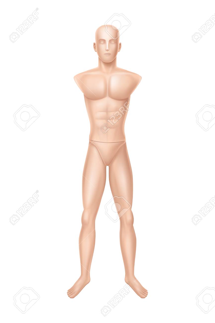 vector 3d realistic male mannequin full body without hands