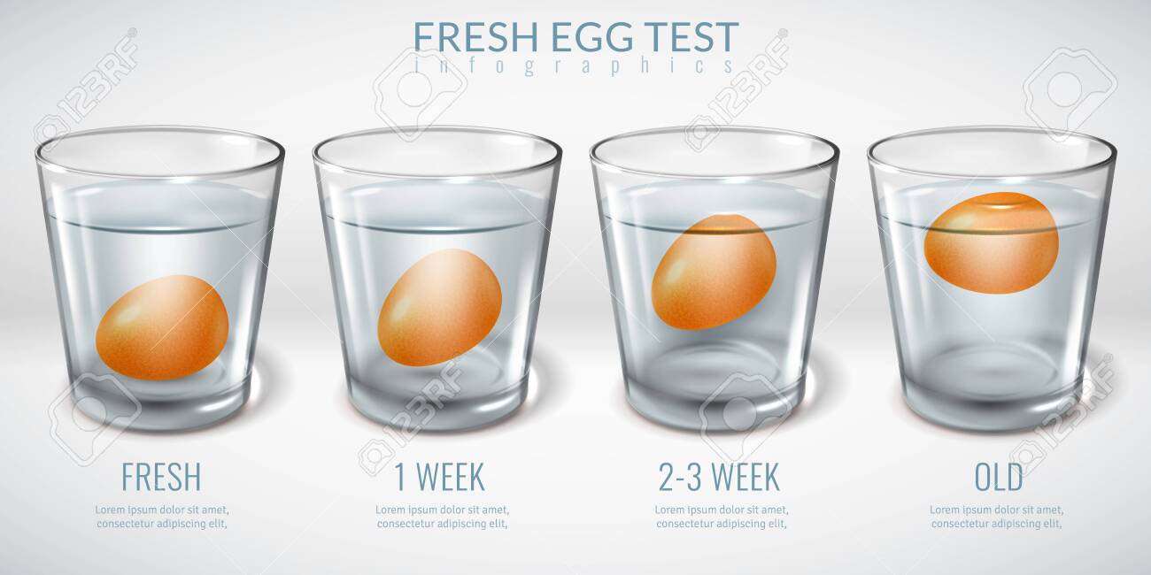 Realistic Glass Glasses Infographics Egg Floating Freshness Royalty Free Cliparts Vectors And Stock Illustration Image 137932578