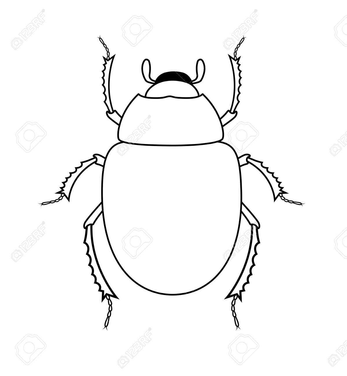 drawing art of scarab beetle insect royalty free cliparts vectors