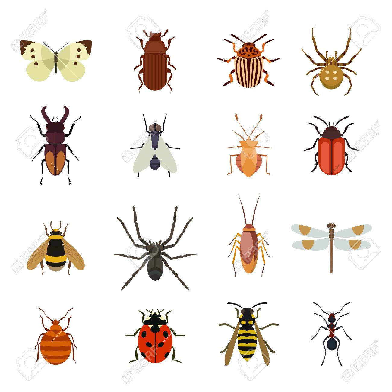 iconos del insecto establecer plano aislado en el fondo blanco