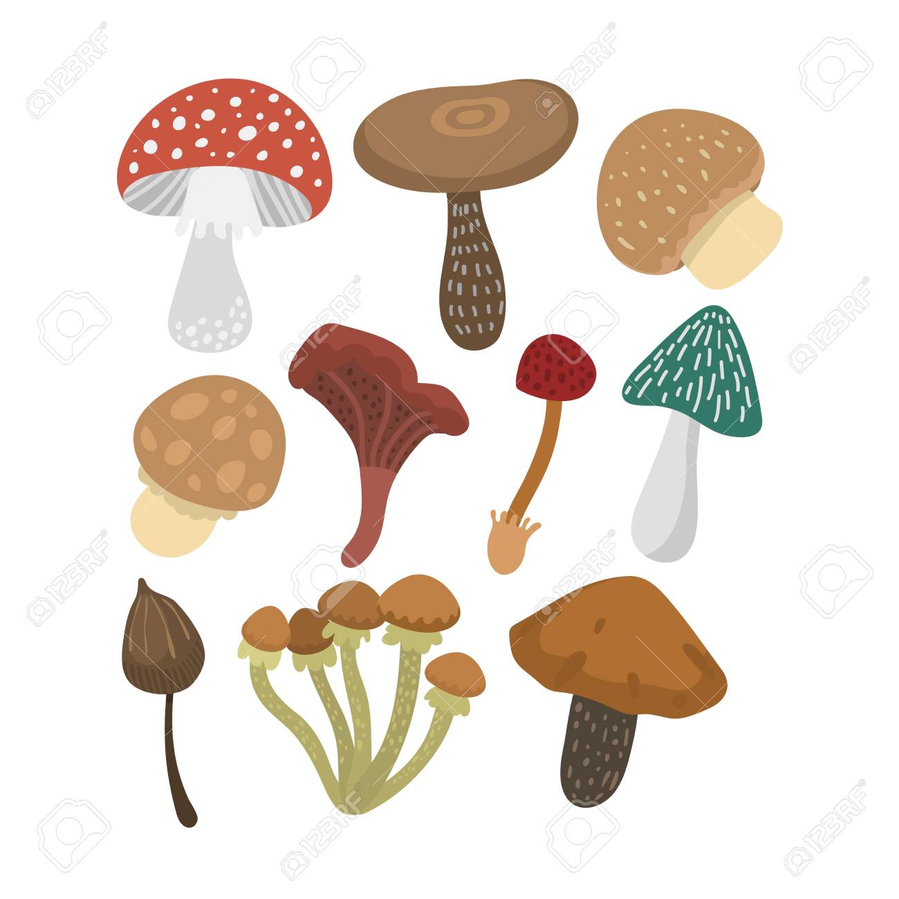 キノコはベクトル イラスト セットです 白い背景で隔離のキノコの種類 自然のキノコ料理食品の毒キノコ フラット スタイルのイラスト素材 ベクタ Image