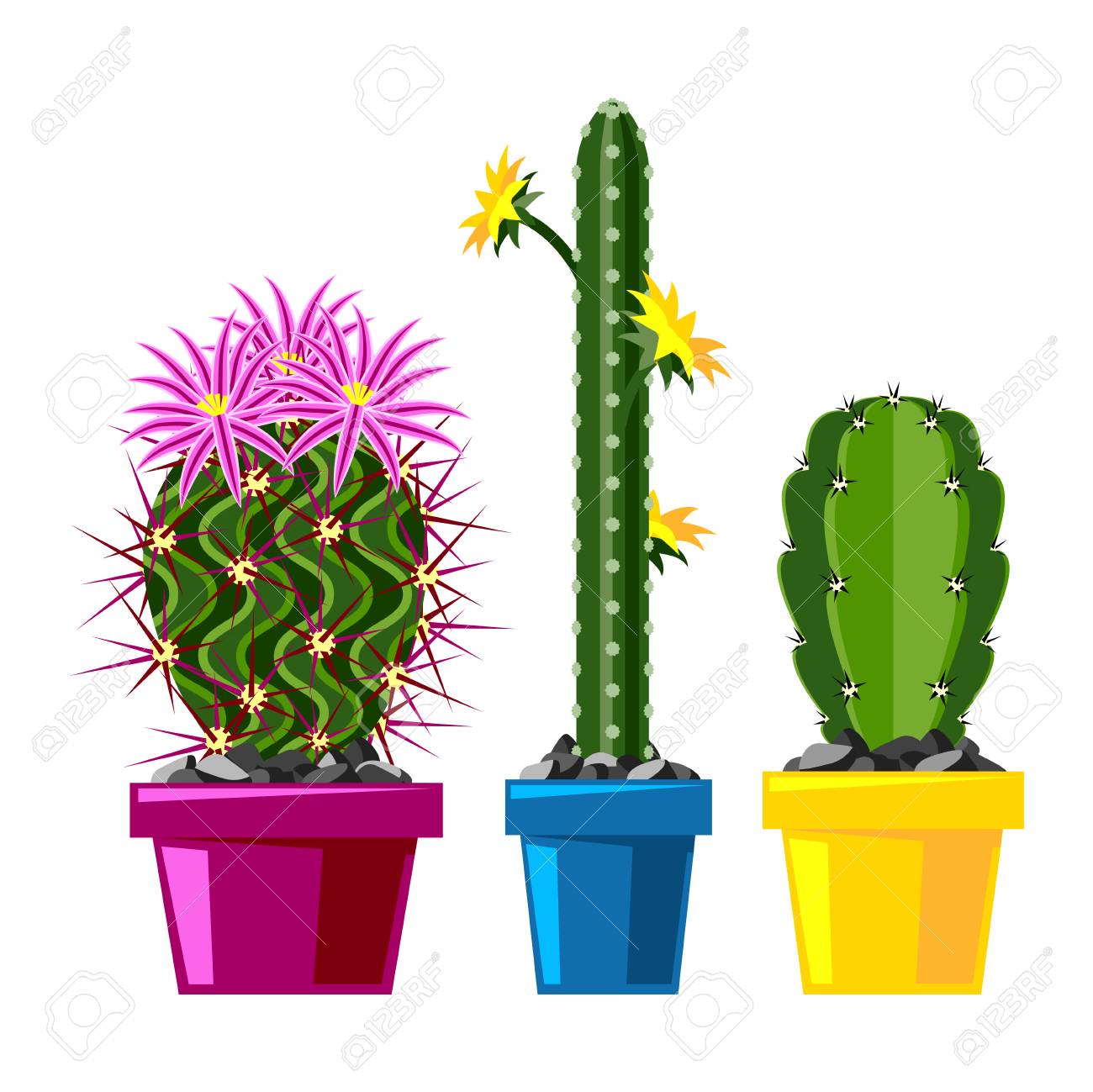 Featured image of post Como Dibujar Un Cactus F cil