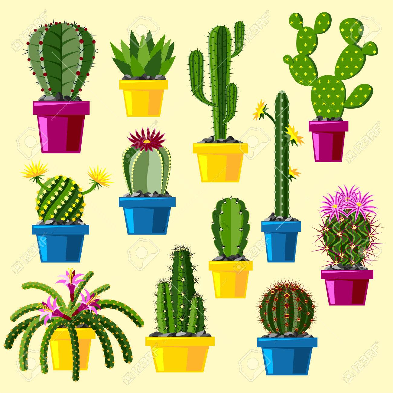 cactus flat style nature