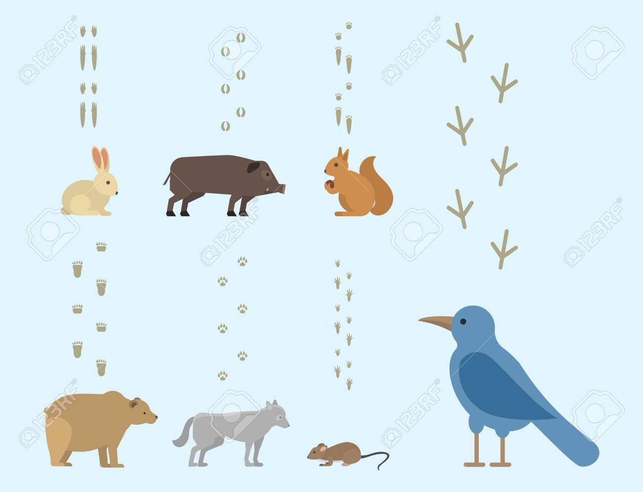動物の足跡は 哺乳類と鳥足印刷トレース野生動物追跡手順野性シルエット ベクトルのイラスト素材 ベクタ Image 動物の足跡は 哺乳類と鳥足印刷トレース野生動物追跡手順野性シルエット ベクトルのイラスト素材 ベクタ Image
