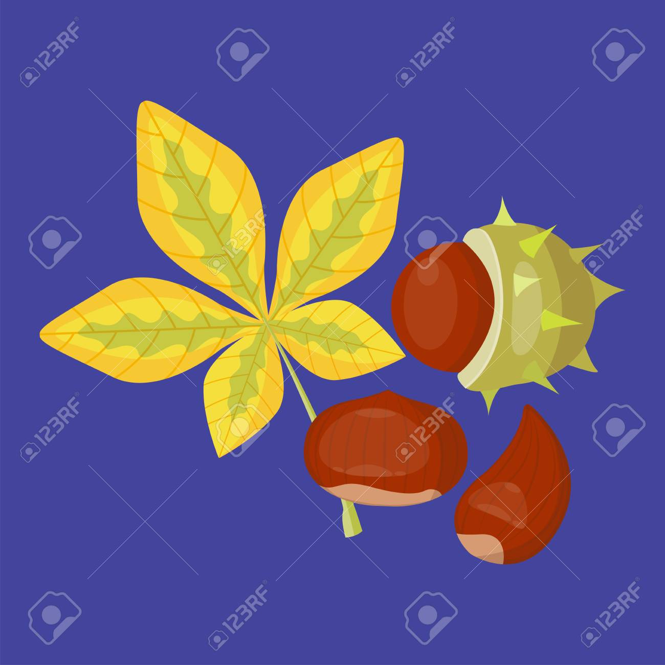 秋の黄色のカエデ葉シーズン自然色植物葉明るい装飾デザイン自然カラフルなフラット ベクトル イラスト 紅葉 11 月工場 のイラスト素材 ベクタ Image 秋の黄色のカエデ葉シーズン自然色植物葉明るい装飾デザイン自然カラフルなフラット ベクトル イラスト 紅葉 11 月工場 のイラスト素材 ベクタ Image