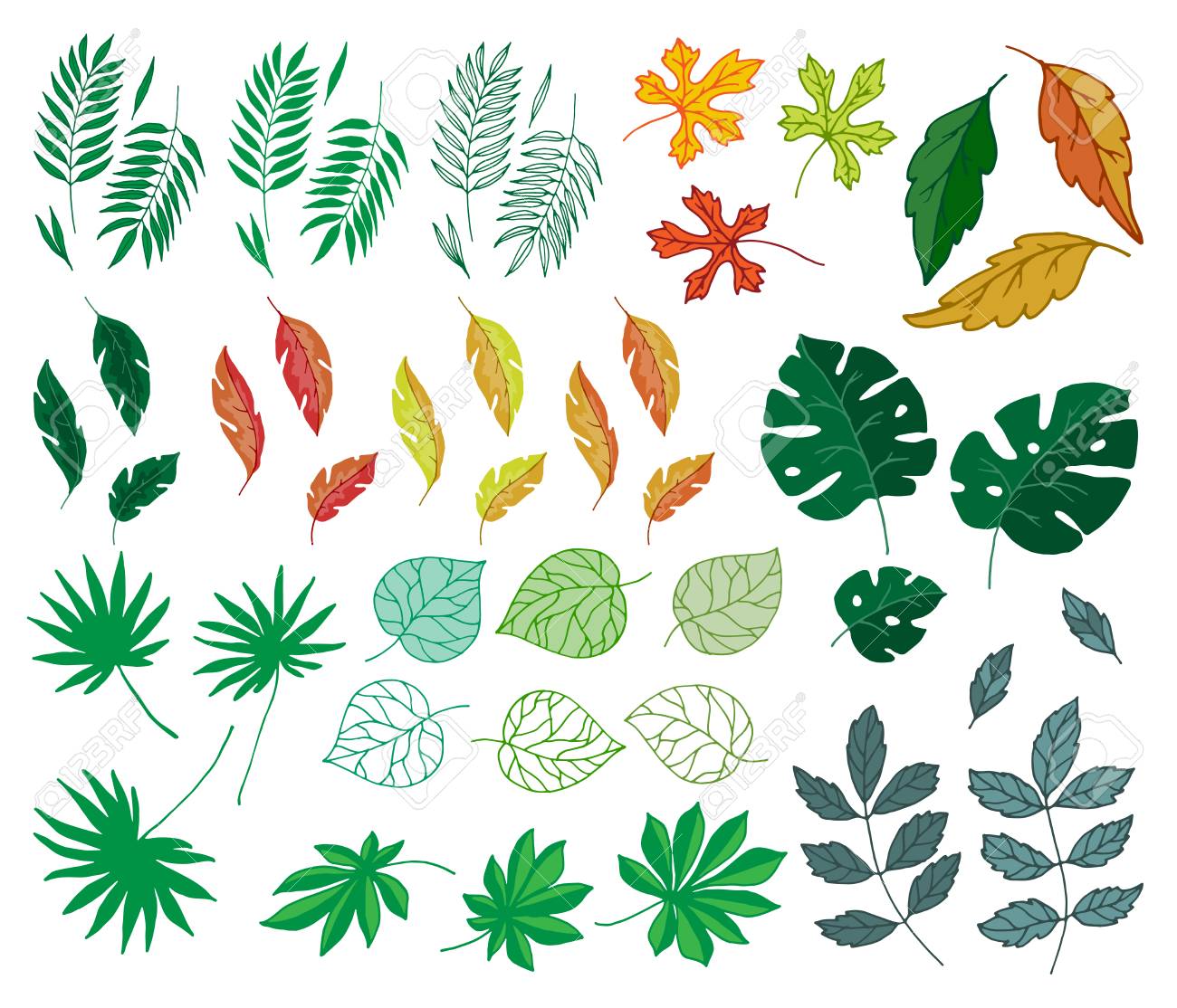 異なる熱帯の葉夏緑のエキゾチックなジャングル ヤシ葉自然植物植物ハワイ植物ベクトル イラスト のイラスト素材 ベクタ Image