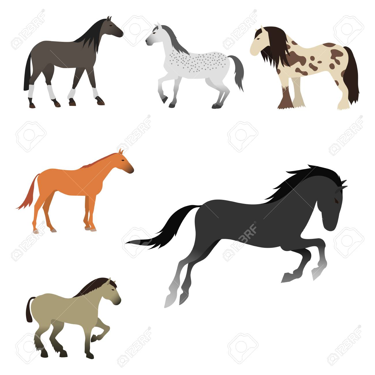 Set Of Horse Pony Stallion Isolated Different Breeds Color Farm