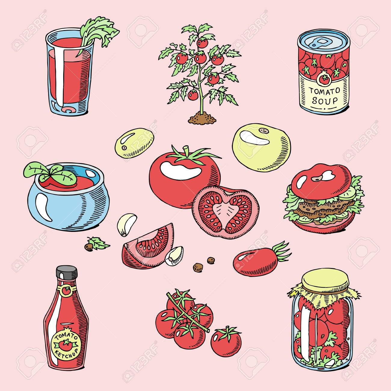 トマトジュース トマト フードソース ケチャップスープ 新鮮な赤野菜のイラストオーガニック食材を添えて 背景に隔離されたベジタリアンダイエットセット の イラスト素材 ベクタ Image
