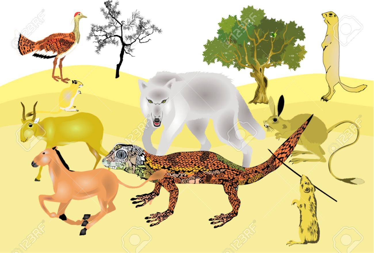 desert animals set composition royalty free cliparts vectors and