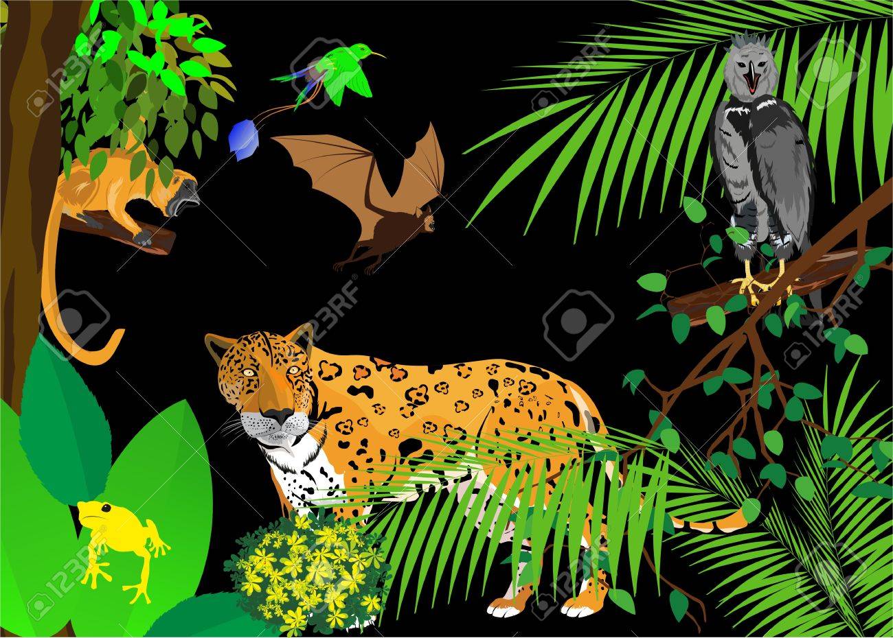 ジャガーとジャングルのシーン。イーグル ツリー、猿とコウモリの ...