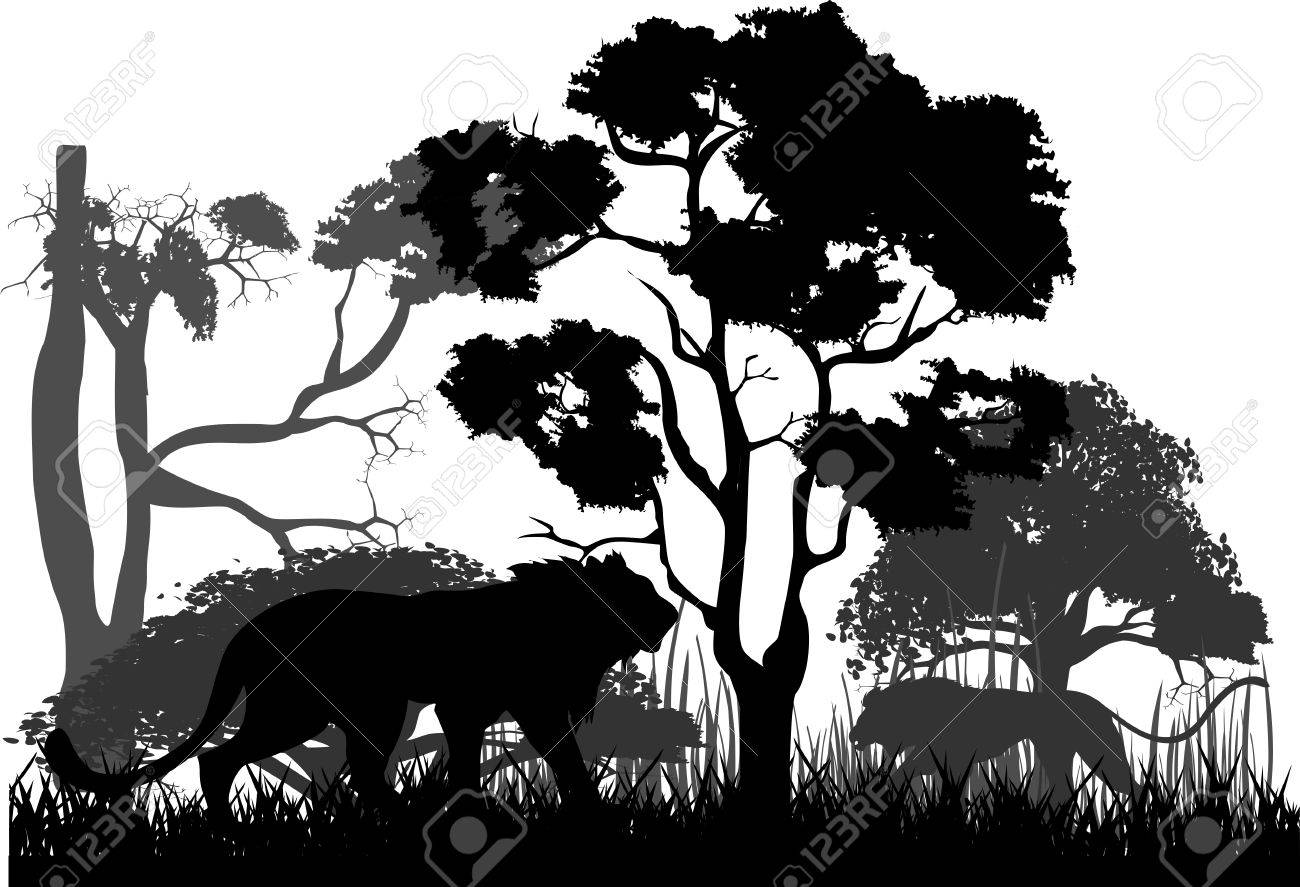 黒獅子と野生のジャングル 木をシルエットします のイラスト素材 ベクタ Image