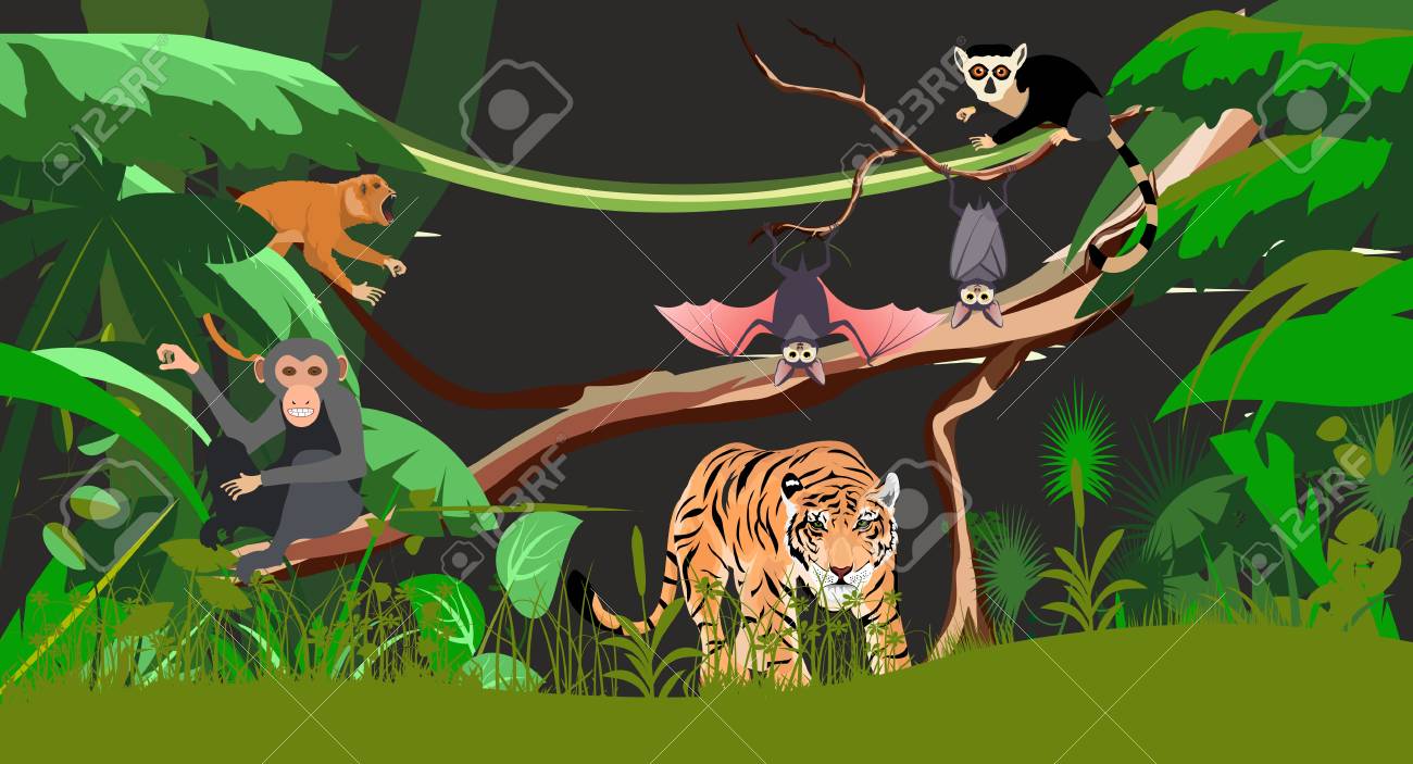 夜景ジャングル 熱帯の動物 トラ サル バット ベクトル図 のイラスト素材 ベクタ Image