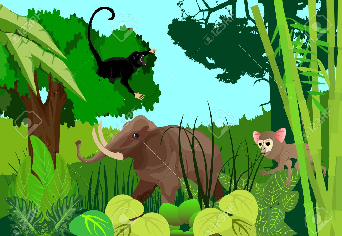 wild animal in jungle theme background royalty free cliparts