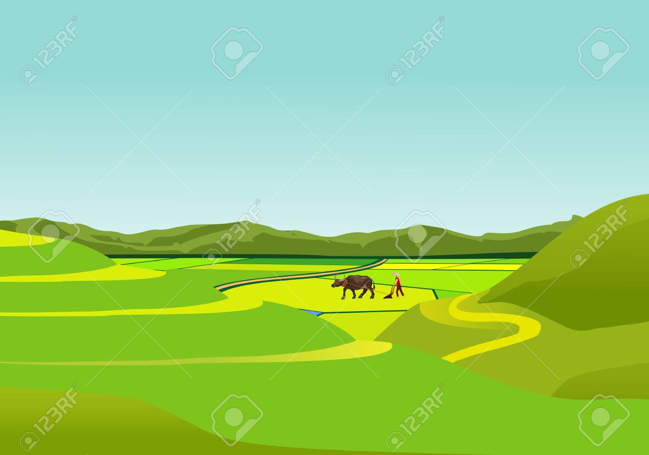 China countryside landscape, farmer with bull in the field vector - 121468620 China countryside landscape, farmer with bull in the field vector - 121468620