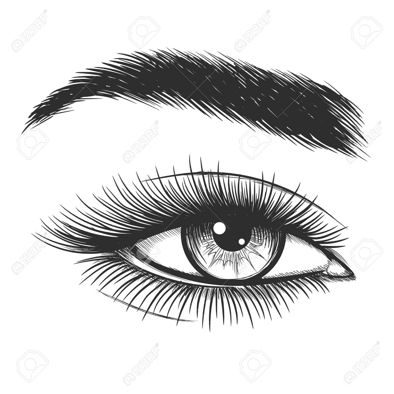 Beautiful Lady Eye Hand Drawn Vector Illustration Closeup Woman