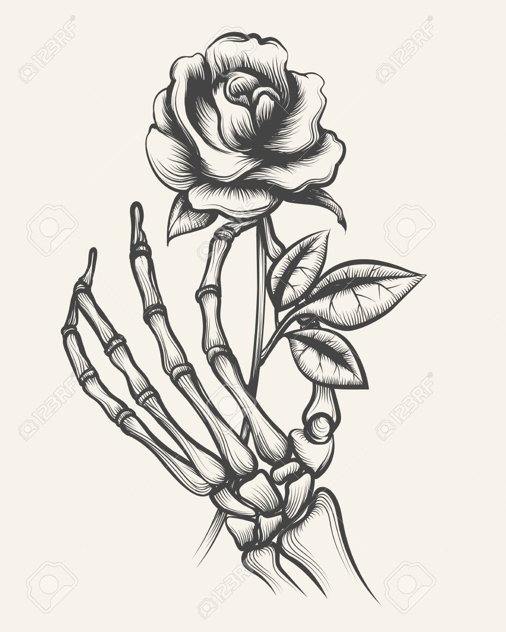 handdrawn skeleton bones hand with rose flower engraved vector