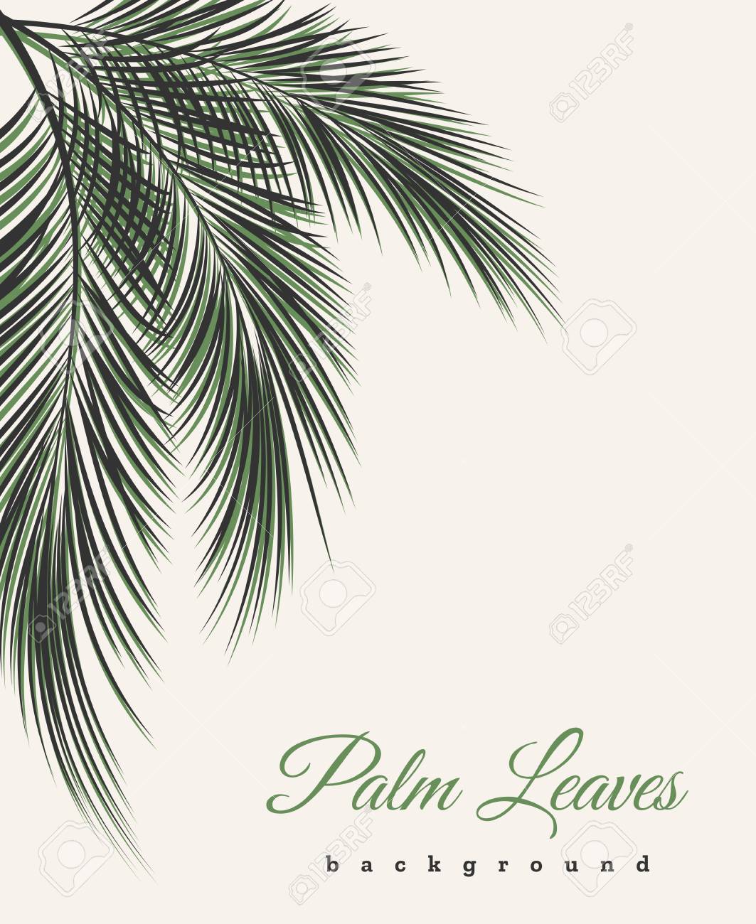 Palm Leaves Vintage Background Palm Tree Leaf Feathers Pattern