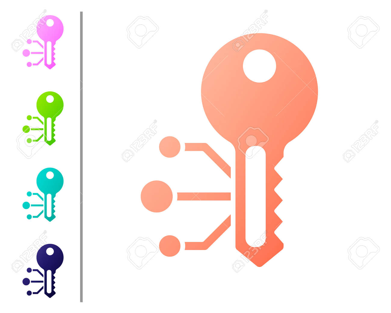 Coral Cryptocurrency Key Icon Isolated On White Background. Concept Of  Cyber Security Or Private Key, Digital Key With Technology Interface. Set  Color Icons. Vector Royalty Free SVG, Cliparts, Vectors, and Stock  Illustration.