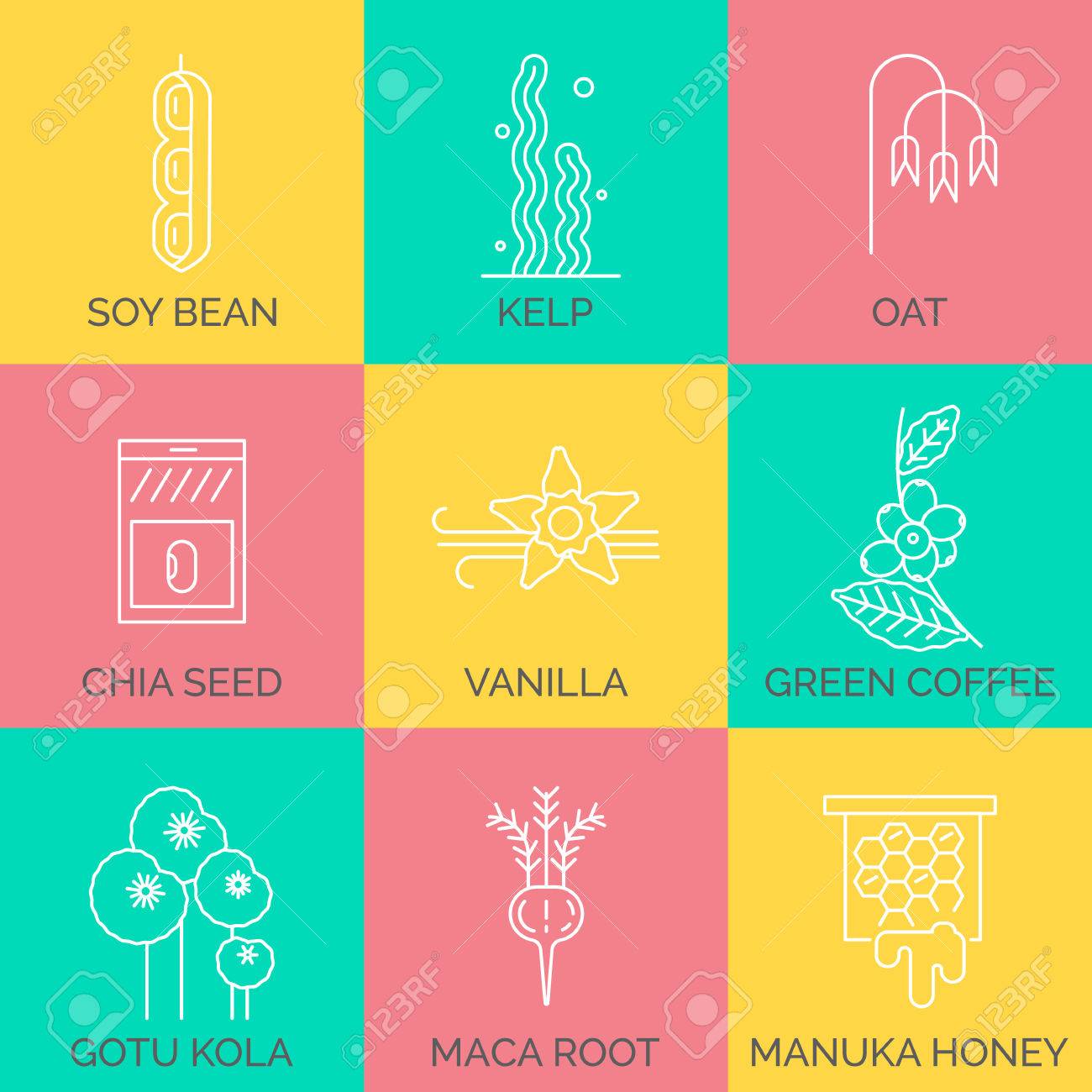Featured image of post Steps to Prepare Green Coffee And Maca