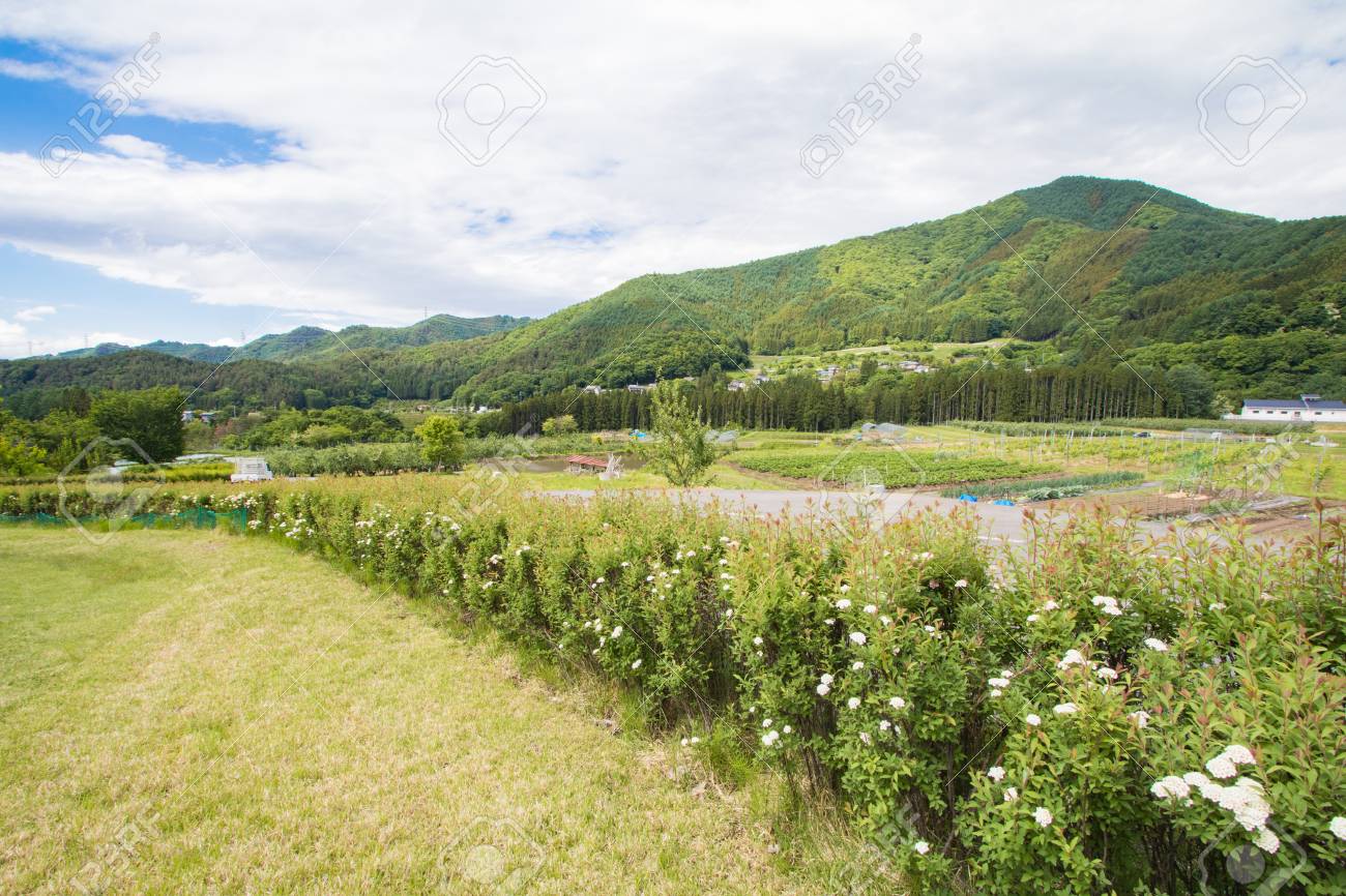 Eautiful 高山村北東長野県上高井地区青空や春の日日当たりの良い夏の風景です の写真素材 画像素材 Image