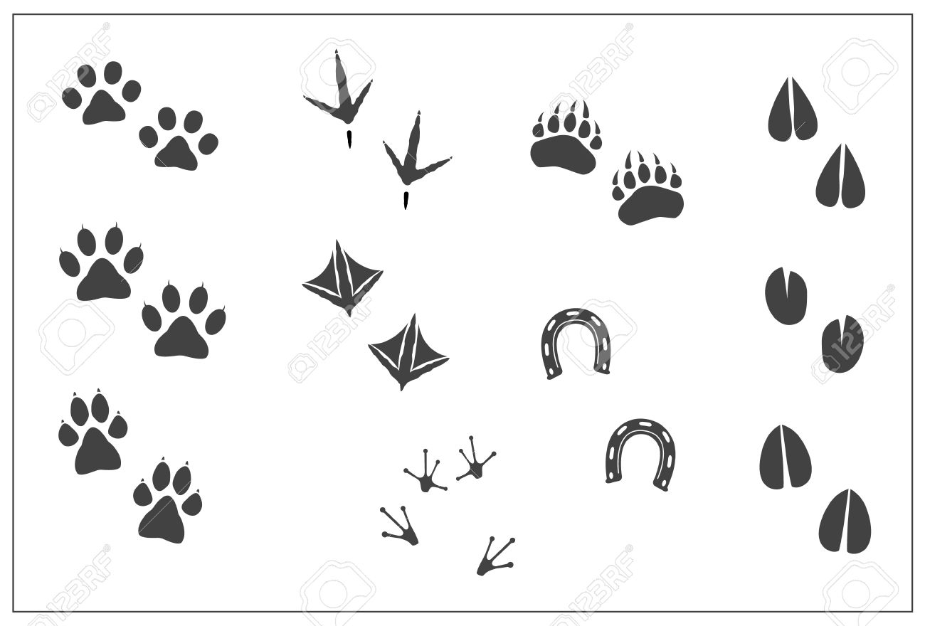 動物の足跡 猫ポウ 犬足 クマ足 鳥鶏の足 アヒルの足 ホースシュー 偶蹄目の蹄鹿 カモシカ 羊 キリン ヤギ 牛 ラマ エルク カエル足 分離の イラスト のイラスト素材 ベクタ Image 動物の足跡 猫ポウ 犬足 クマ足 鳥鶏の足 アヒルの足 ホースシュー 偶蹄目の蹄鹿 カモシカ 羊 キリン ヤギ 牛 ラマ エルク カエル足 分離の イラスト のイラスト素材 ベクタ Image