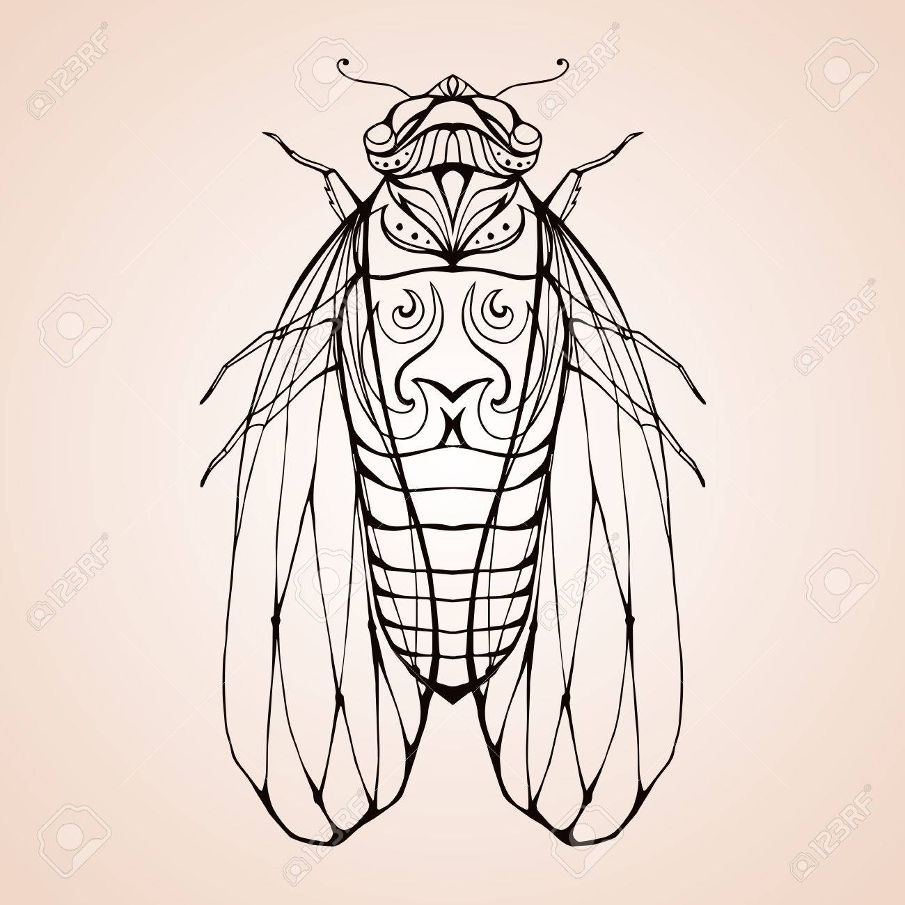 Illustration cicada with boho pattern. Vector element for coloring.. Illustration cicada with boho pattern. Vector element for coloring..