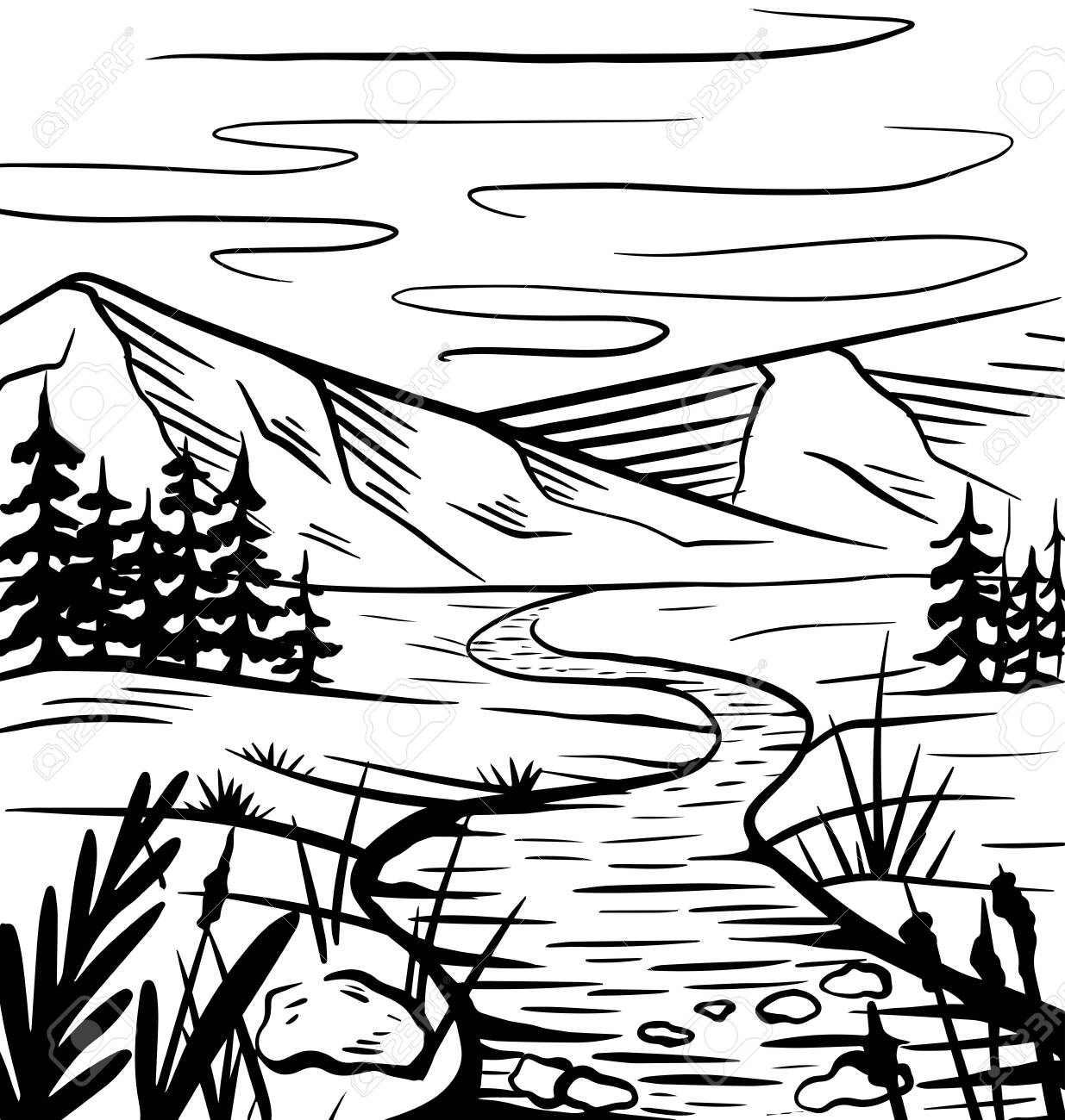 nature sketch nature sketch