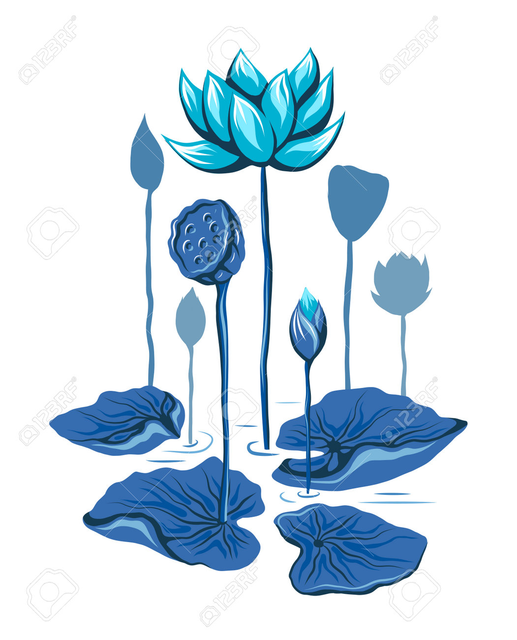 Vector Illustration With Blue Lotuses And Stems. Botanical Image With  Foliage And Flowers On White Background. Flat Hand Drawn Clip Art  Composition Of Water Lilies And Seed Pods Royalty Free SVG, Cliparts,, image size:1051x1300