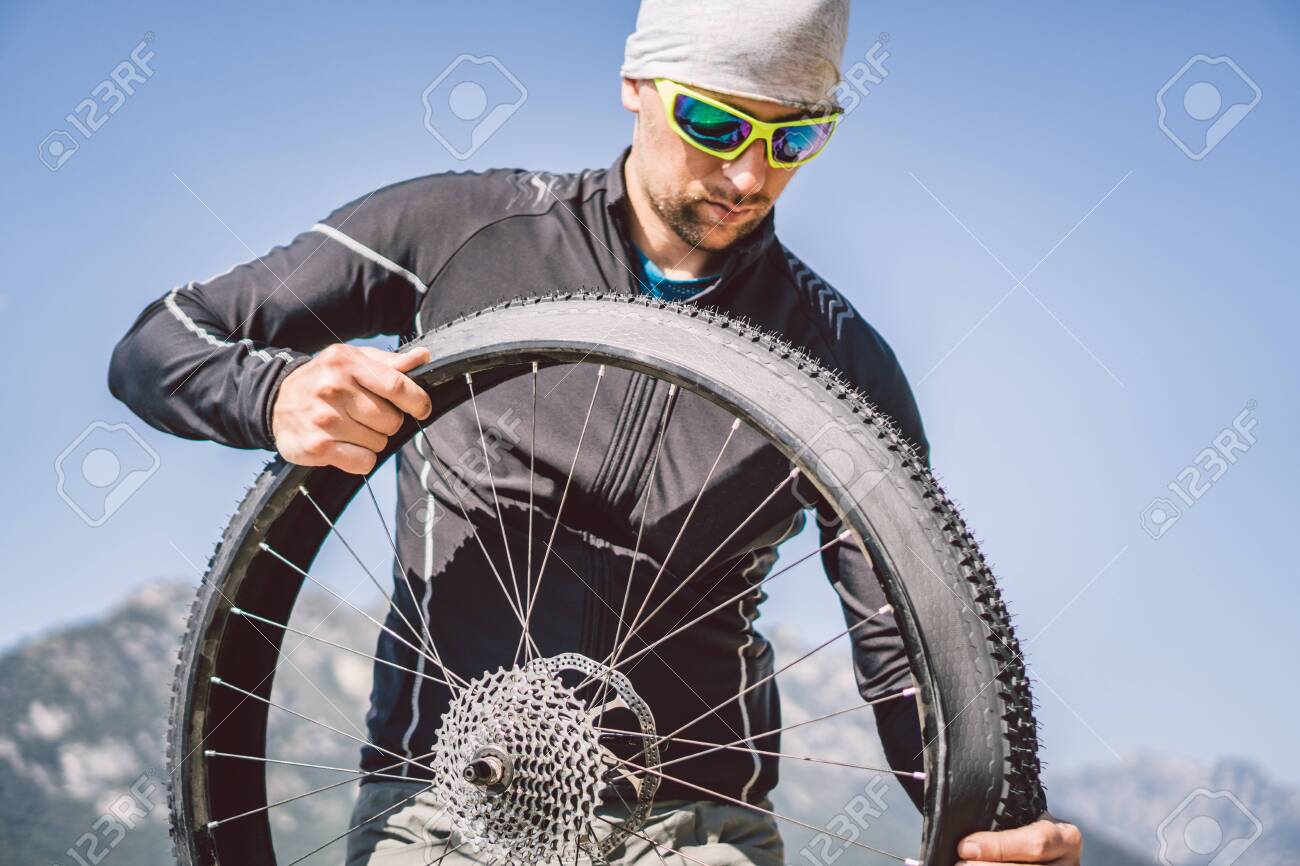 bike wheel case