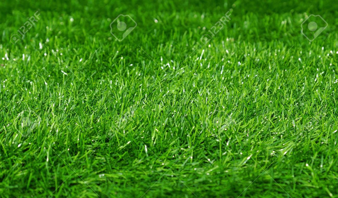 football field grass