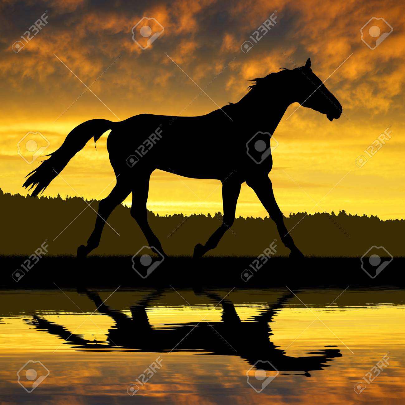 Horse Under Sunset Stock Photo, Picture and Royalty Free Image. Image  32060636., image size:1300x1300