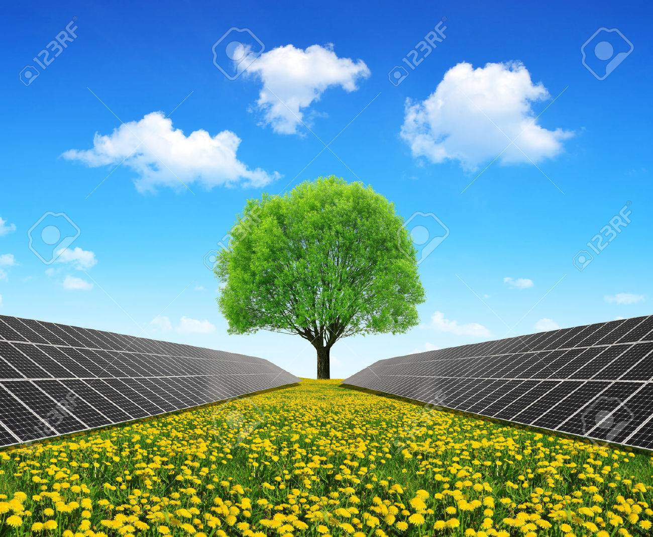 Solar energy panels and tree on dandelion field. Clean energy. - 49272450 Solar energy panels and tree on dandelion field. Clean energy. - 49272450