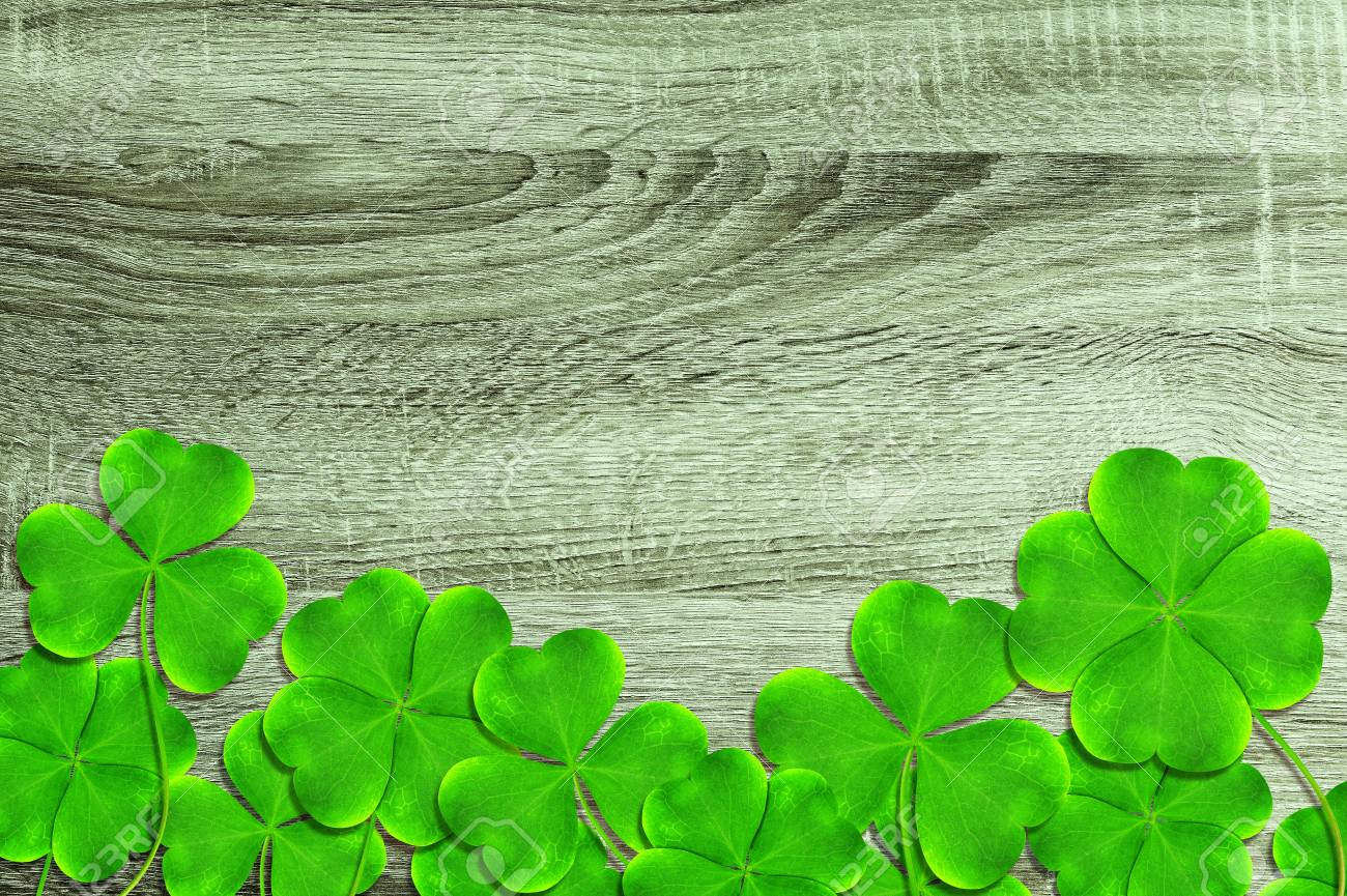Haoyiyi 10x10ft Saint Patrick Backdrop Lucky Shamrock Clover Clovers Leaf Shamrocks Three Leaf Clover Spring Background Photography Family Baby Irish Ceilidh Party Photos Props Pictures Haoyiyi 10x10ft Saint Patrick Backdrop Lucky Shamrock Clover Clovers Leaf Shamrocks Three Leaf Clover Spring Background Photography Family Baby Irish Ceilidh Party Photos Props Pictures