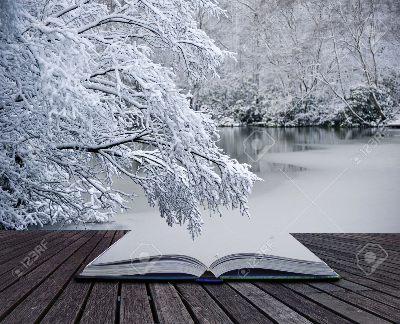 Coming Out of Winter
