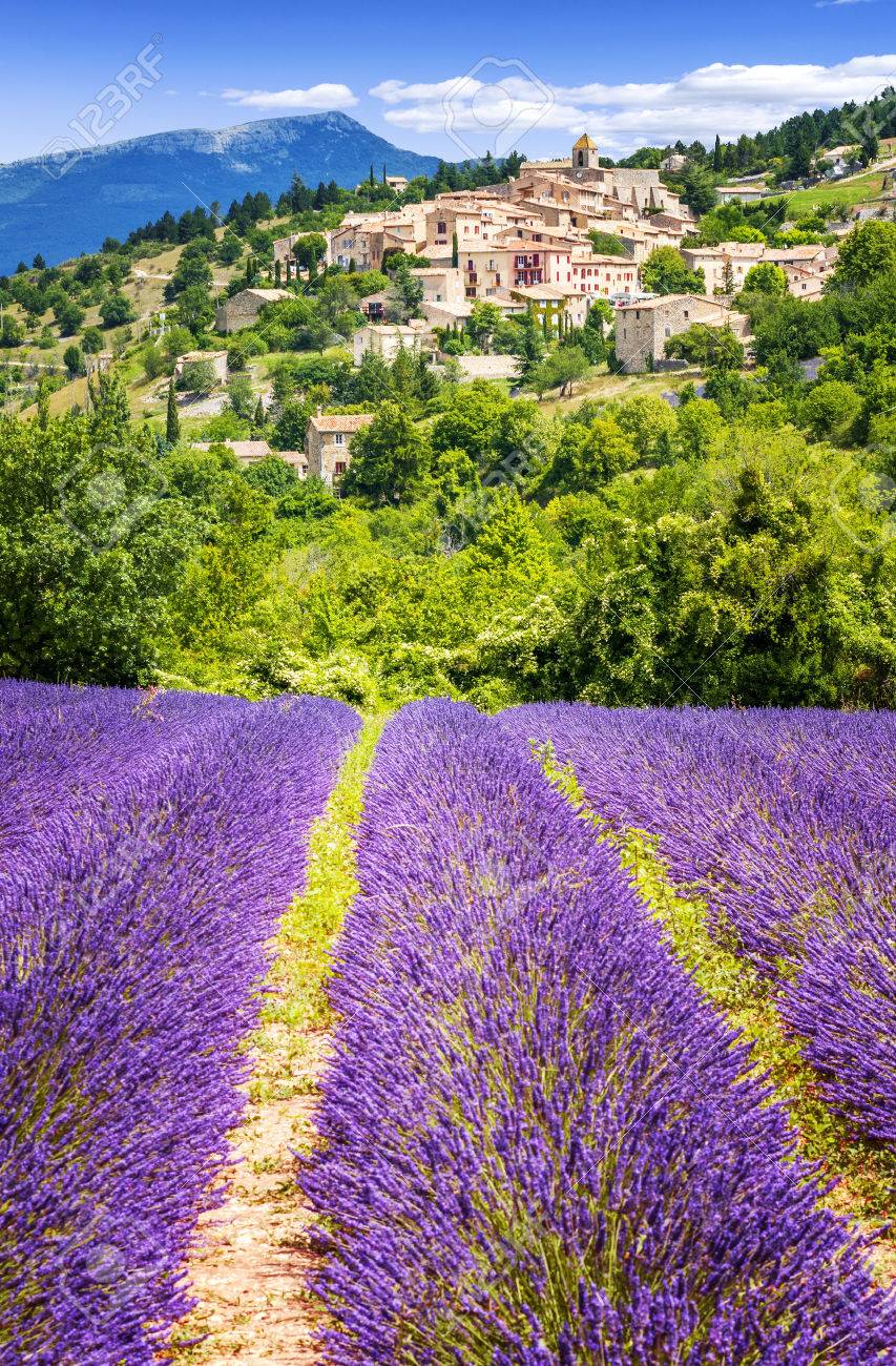 Aurel little village in south of france with a lavender field in front of it - 40827473 Aurel little village in south of france with a lavender field in front of it - 40827473