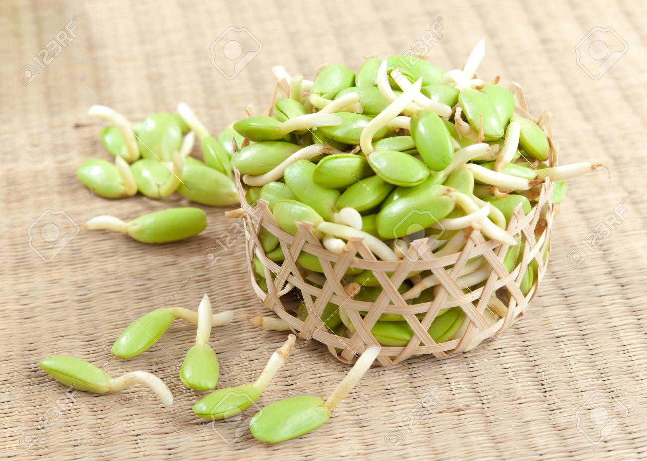 Riang Parkia Seeds Thai Side Dishes And Can Makes Variety Of Thai Curry It S Southeast Asia Tropical Plants Stock Photo Picture And Royalty Free Image Image 17788385