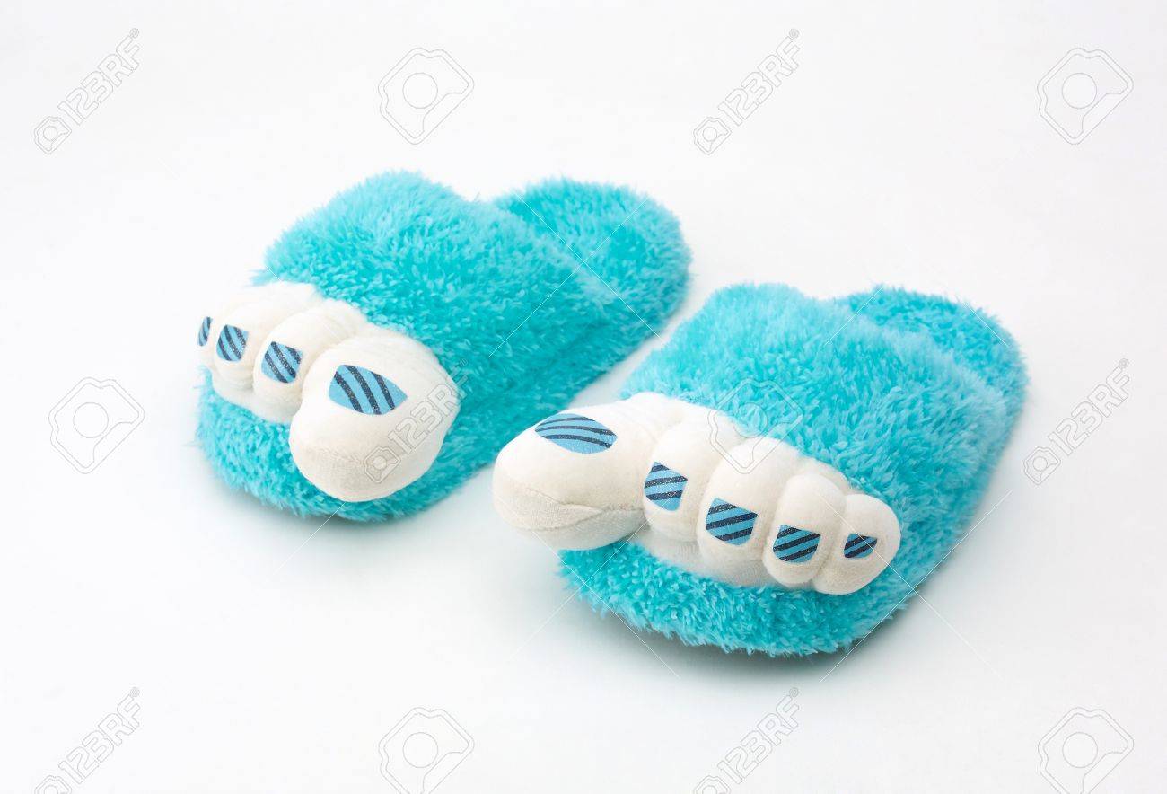 cute house slippers
