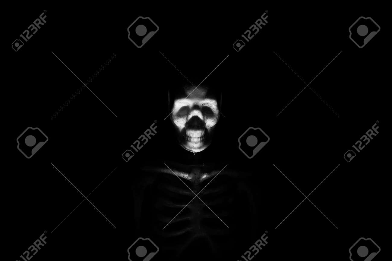 etiam-dictum-ipsum-a-felis