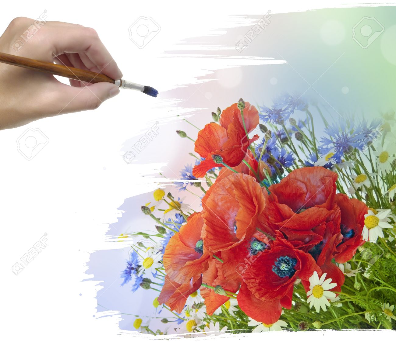 ハンドペインティング草原の花 の写真素材 画像素材 Image 14961265