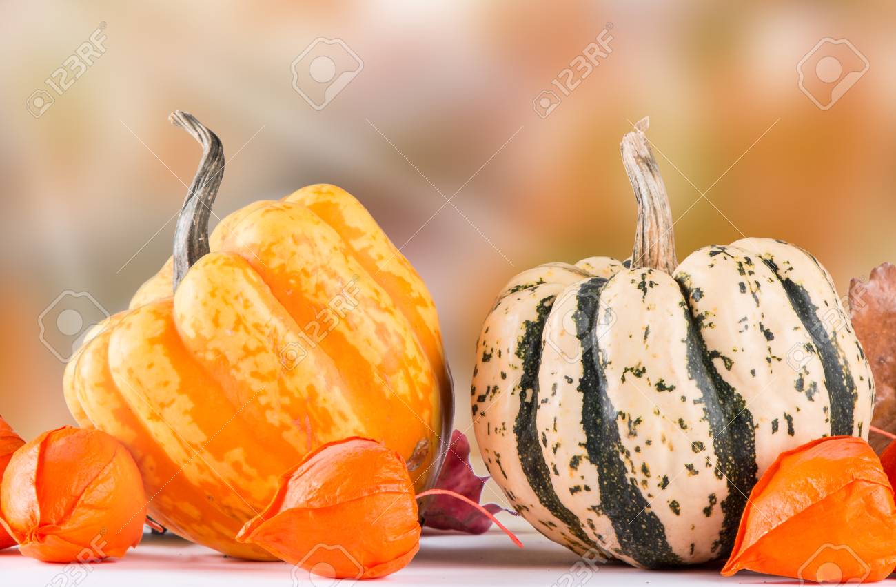 秋の自然の概念 秋果物や木の野菜 の写真素材 画像素材 Image 秋の自然の概念 秋果物や木の野菜 の写真素材 画像素材 Image