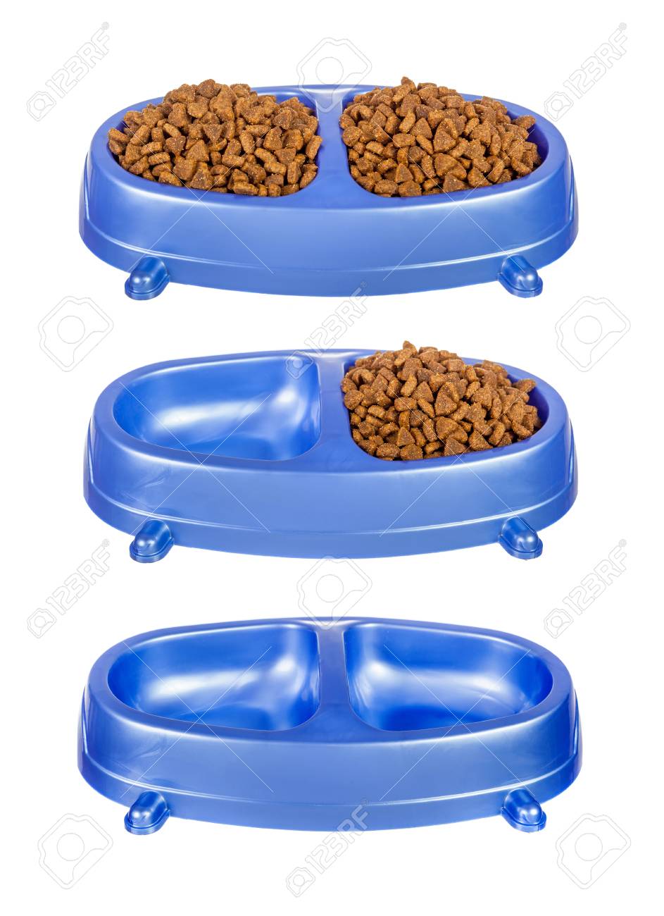 empty cat bowl