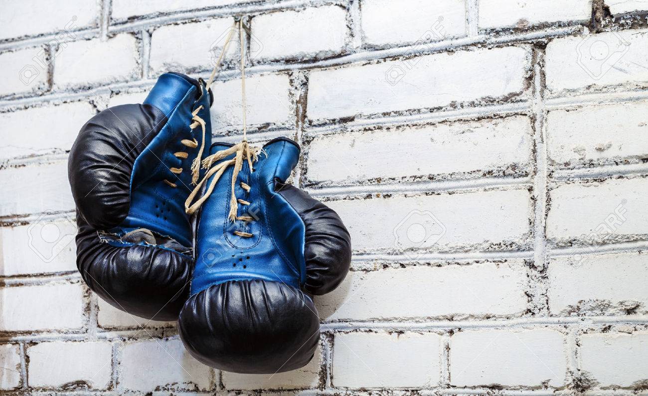 blue and black boxing gloves