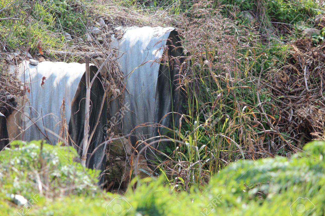 etiam-dictum-ipsum-a-felis